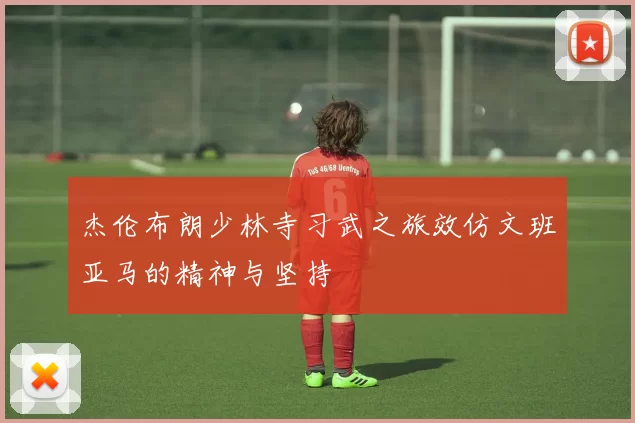 杰伦布朗少林寺习武之旅效仿文班亚马的精神与坚持